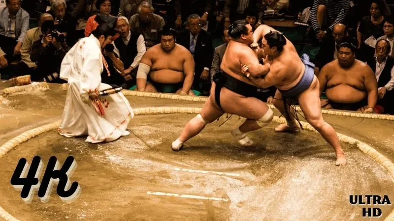 Традиции сумо. Борьба сумо: история, правила, особенности техники и самые интересные факты