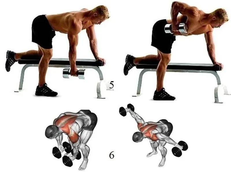 Базовые упр на спину. Упражнения для широчайших мышц спины
