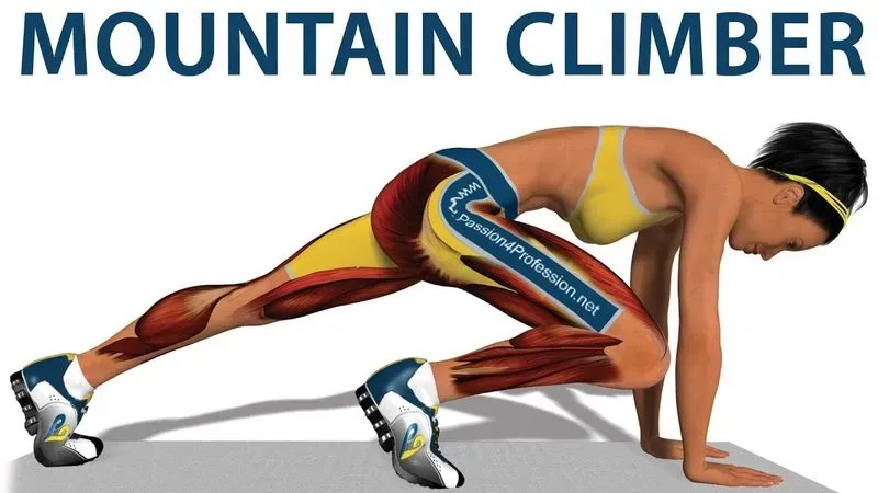 Как делается упражнение альпинист. Как выполнять упражнение «Альпинист