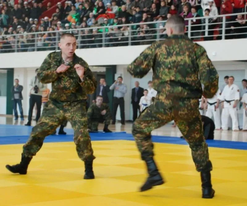 Русские боевые искусства. Русский рукопашный бой